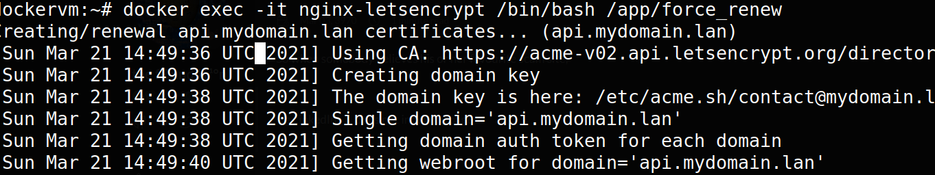The Google Blackhole: Forced renewal of certificates with nginx-letsencrypt-docker